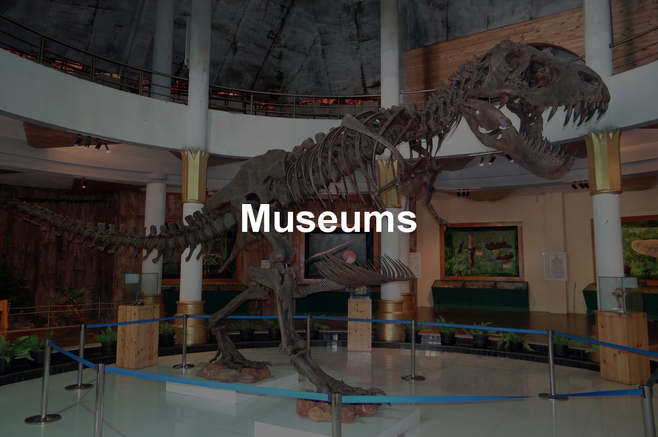 Museum Point of Sale